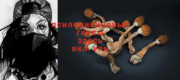 бошки Инта