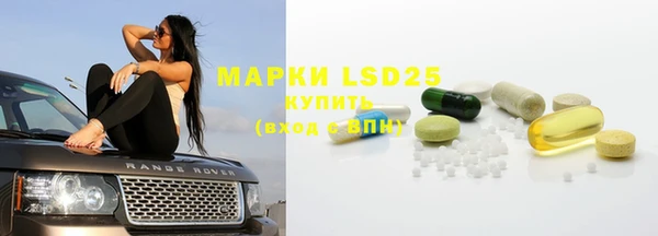 a pvp Инсар