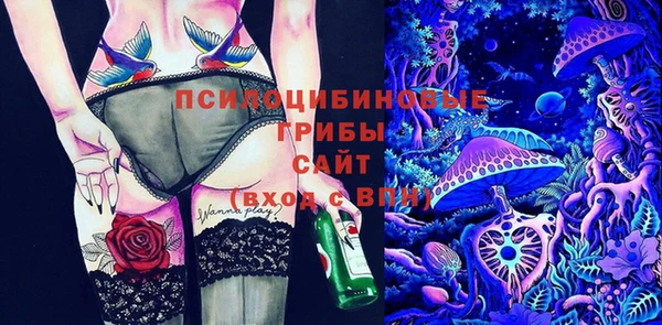 a pvp Инсар