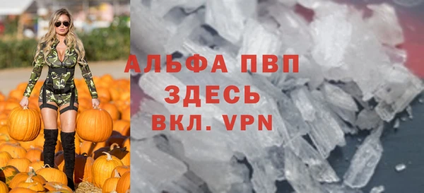 бошки Инта