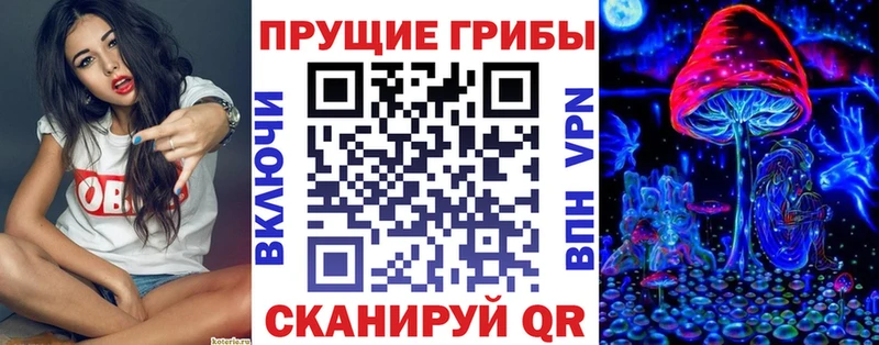 Купить где  Карпинск  Галлюциногенные грибы Psilocybe 