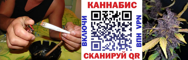 Бошки марихуана MAZAR  Купить где  Карпинск 